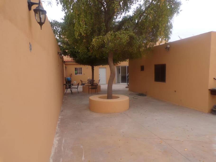 Apartamento 12 Con Dos Camas , A 200 Mts Del Vado Del Rio , Cerca Del Centro De Gobierno , Internet De Alta Velocidad Hermosillo Exterior foto